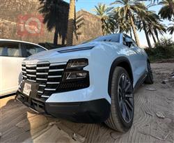 جیتۆر داشينگ
